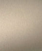 Brushed Warm Champagne * Pre Order