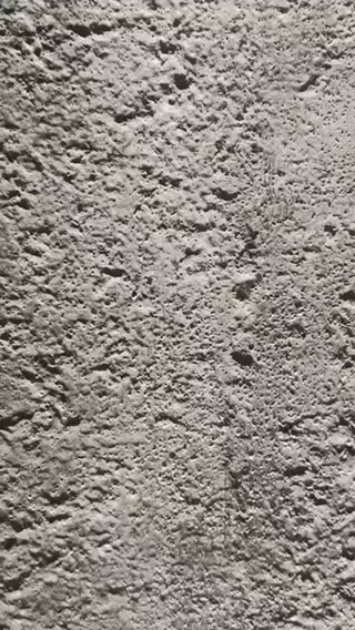 Raw Concrete Flexible Stone